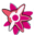 shareacgnxse